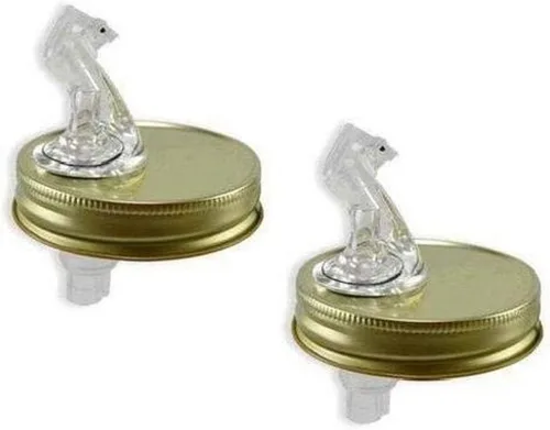 Tarro Mason Pouring Spout Regular Jar Tamaño 2 Pack (con aleta)