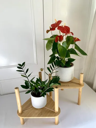 Miniatura 2 de Soporte ajustable para macetas de interior – Madera de bambú, altura y ancho ajustable (no necesita herramientas), se adapta a macetas pequeñas