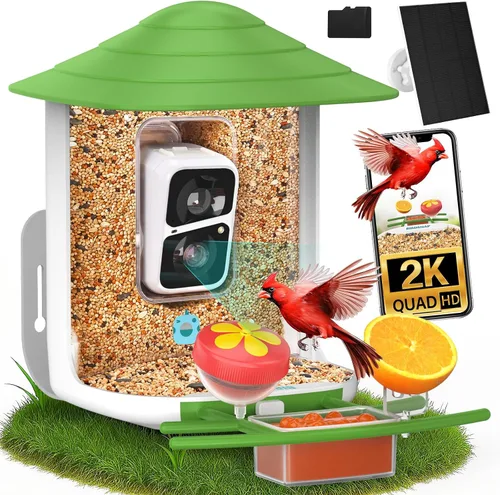Miniatura 18 de birdsnap® TUC - Comedero para pájaros con cámara 2K HD en vivo con tarjeta de 32 GB, detección y notificación automática de inteligencia artificial