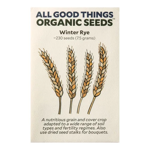 Miniatura 9 de All Good Things - Semillas de avena orgánicas comunes para plantar: cultivo de cobertura, granos integrales de cáscara, paquete de 275 semillas