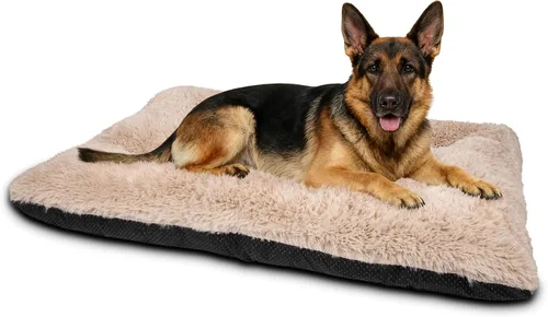 Miniatura 10 de JOEJOY Almohadilla grande para cama para perro, cama de lujo lavable para perros, almohadilla suave antideslizante para perros extragrandes, Beige
