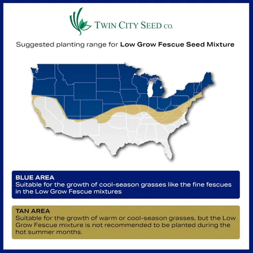 Miniatura 3 de Twin City Seed Co. Semillas ecológicas (festuca de bajo crecimiento), mezcla de hierba de festucas finas, bolsa de 25 libras