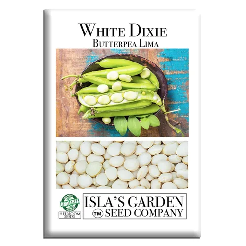 White Dixie Butterpea Lima Bush Semillas de frijol (Phaseolus lunatus) – Más de 25 semillas tradicionales sin OMG de Isla's Garden Seeds, granos