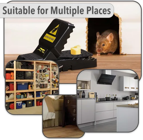 Miniatura 8 de Mr. Pen - Trampas para ratones para interiores para el hogar, paquete de 3, trampas para ratones para casa en interiores y exteriores, trampas