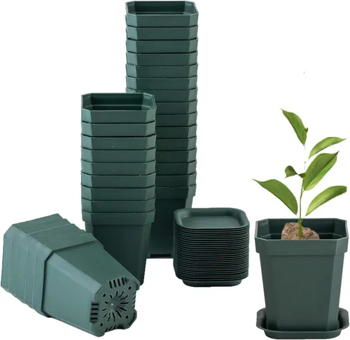 Miniatura 9 de Macetas de vivero transparentes verdes de 3 pulgadas de Foxany, 30 piezas de maceta de plástico grueso, paquete variado de macetas cuadradas