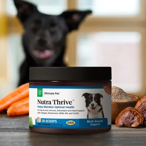 Miniatura 9 de Ultimate Pet Nutrition Nutra Thrive Canine, suplemento nutricional en polvo 40 en 1 para perros con digestión y apoyo inmunológico, vitaminas