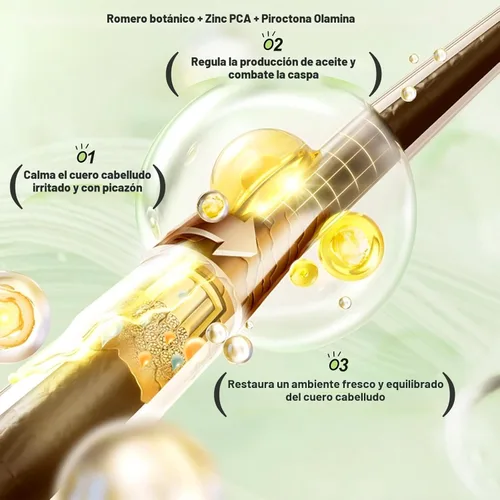 Miniatura 4 de Tgideas Champú de aminoácidos de biotina de romero, champú para el crecimiento del cabello para mujeres y hombres, pérdida de cabello adelgazante