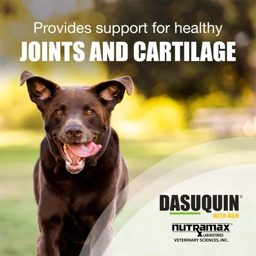 Miniatura 3 de Nutramax Dasuquin para perros grandes, suplemento de salud articular, contiene glucosamina para perros, además de condroitina, ASU, MSM y más, apoya