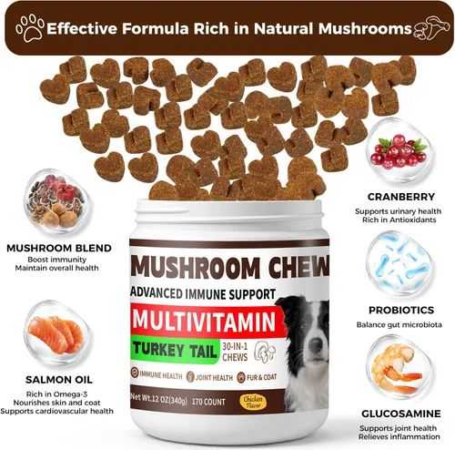 Miniatura 4 de Hongo de cola de pavo para perros, apoyo inmunológico, 170 masticables orgánicos masticables de hongos para perros bultos y protuberancias, potente