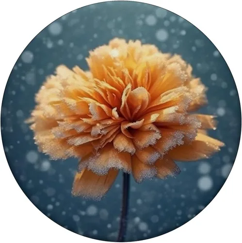 Miniatura 3 de Marigold Flower Frozen PopSockets Adhesive PopGrip