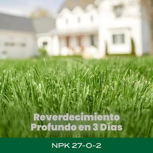 Miniatura 4 de Scotts Green Max Lawn Food, fertilizante para césped y suplemento de hierro para césped más verde, 10,000 pies cuadrados, 33.33 libras.