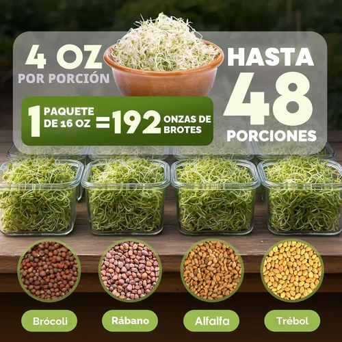 Miniatura 3 de Nature Jims Sprouts Mezcla de ensalada orgánica - Semillas microverdes sin OMG para el cultivo - Mezcla saludable de brotes de brócoli, alfalfa