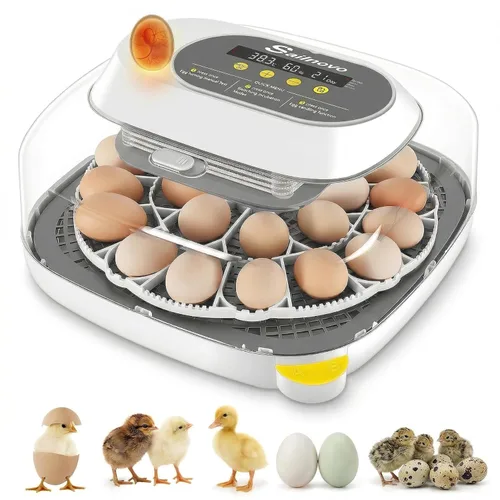 Sailnovo Incubadora para 24 huevos, incubadora de huevos de 4 modos con giro automático de huevos, control de temperatura y alarma de humedad, vista