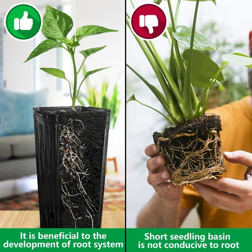 Miniatura 4 de RunNico 50 piezas de macetas de plástico profundas para vivero, macetas de árbol de 30 cm de alto, macetas de contenedor de plántulas negras