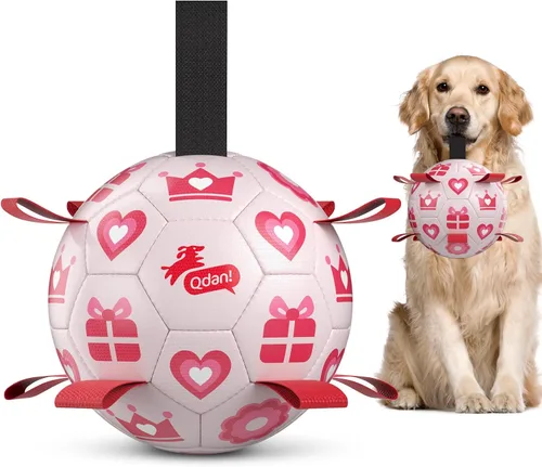 Miniatura 19 de QDAN Pelota de fútbol para perros con correas, juguetes interactivos de forcejeo, juguete de cumpleaños para cachorros, juguete acuático, para rojo