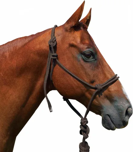 Miniatura 7 de Saddlesworld Cabestro de entrenamiento de cuerda para caballos con cuerda