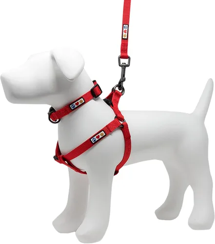Pawtitas Paquete económico | Arnés para perro pequeño + collar para perro pequeño + correa para perro extra pequeña/pequeña de 6 pies, juego rojo