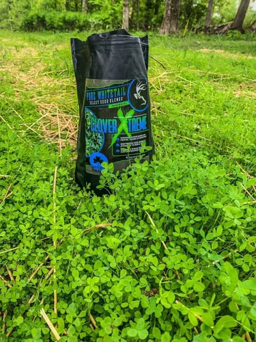 Miniatura 4 de Pure Whitetail Clover Xtreme Mezclas de semillas selectas Mezcla de semillas de trébol perenne de ciervos de cola blanca y pavos Semillas