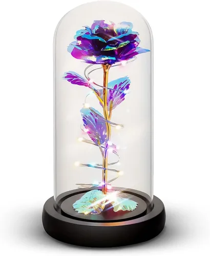 Miniatura 10 de Norcalway Rosa prémium en cúpula de cristal con temporizador de 6 horas, regalos de cumpleaños para mujeres, madres de hija, hijo, niños, rosa