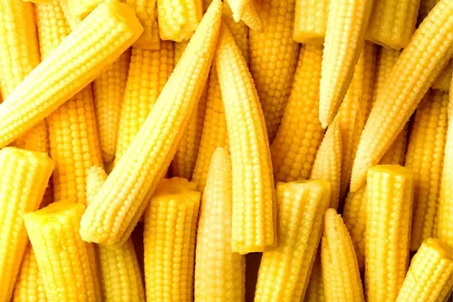 Miniatura 10 de Semillas de maíz raras para plantar - 25 semillas por paquete - (Candy Stripe Corn)