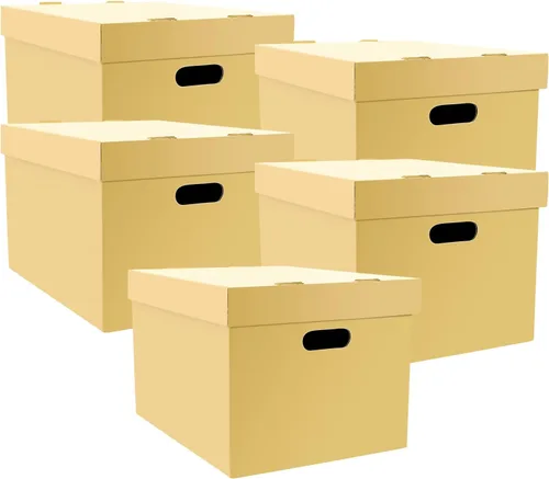 Lineco, Cajas de almacenamiento de archivo, listas para montar, para documentos o fotos, sin ácidos, cartón corrugado tamponado, 12 x 15 10