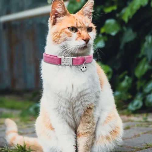 Miniatura 2 de Collar de gato personalizado con placa de nombre, collares ajustables de nailon resistente para identificación de gato con campana, personaliza