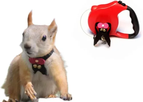Miniatura 11 de Correa de cuerda de tracción de ardilla, cuerda de cadena antimordeduras, arnés para caminar pequeños animales con correa extensible para hámster