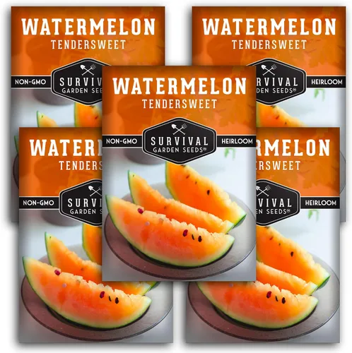 Miniatura 11 de Survival Garden Seeds -Semilla de sandía de naranja tierna para plantar - Paquete con instrucciones para plantar y cultivar deliciosas sandías en tu