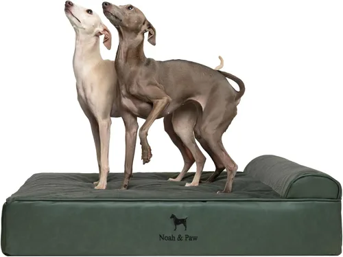 Miniatura 28 de NOAH & PAW Cama para perro, 28x23x7.5 pulgadas, camas ortopédicas para perros de tamaño mediano, espuma viscoelástica tipo cáscara de huevo Cuero