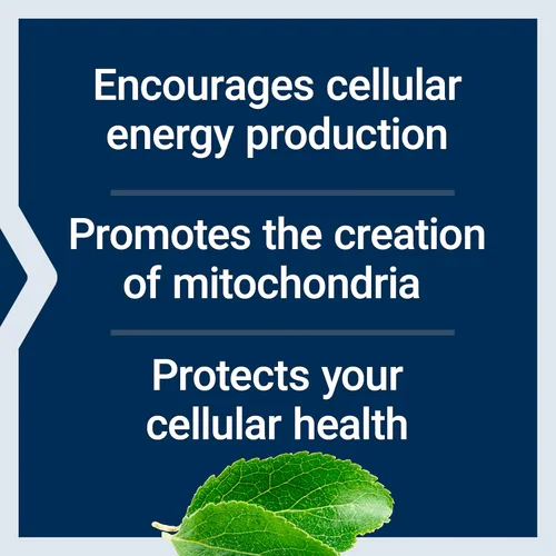 Miniatura 4 de Life Extension Optimizador de Energía Mitocondrial con PQQ - Suplemento de Energía para Mitocondrias Saludables - Con Taurina, Vitamina B