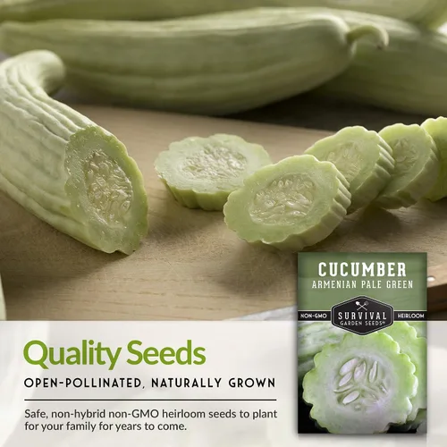 Miniatura 7 de Paquete de 2 semillas de pepino armenio verde pálido para plantar, paquete con instrucciones para cultivar pepinos largos sin eructos en el huerto