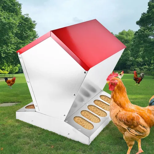 Miniatura 2 de shengyi Comedero galvanizado para pollo de 11.5 a 55 libras, alimentador de aves de corral a prueba de ratas con tapa, resistente a la intemperie
