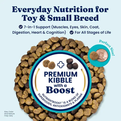 Miniatura 2 de Solid Gold Toy & Small Breed Dog Food Dry Small Bites - Alimento para perros de grano entero de bisonte - Croquetas saludables para perros con alta