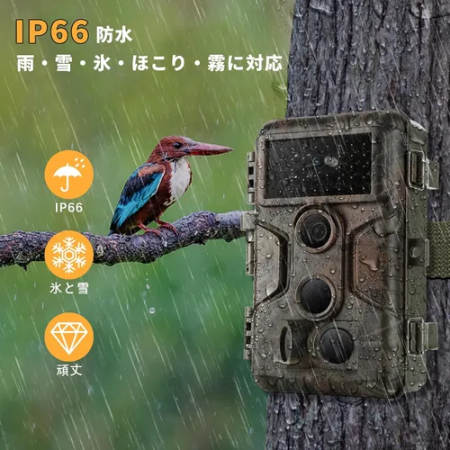 Miniatura 5 de Agitato Cámara profesional de juego y sendero, 64MP 1296P MP4 Video Deer Cam 0.1S gatillo de 100 pies visión nocturna activado por movimiento