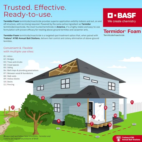 Miniatura 2 de BASF Termidor Foam 20 oz – Insecticida termiticida para termitas, hormigas y madera destruyendo plagas e insectos