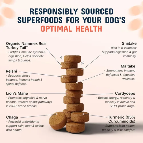 Miniatura 7 de Hongo de cola de pavo para perros con cola de pavo orgánica real Turkey Tail™ - Gomitas masticables de extracto de hongos 8:1 para bultos