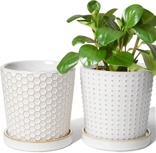Miniatura 8 de LE TAUCI Macetas de cerámica para plantas, macetas de 5.4 pulgadas con orificio de drenaje y platillo, macetas de interior para suculentas, plantas