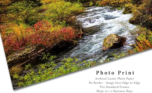 Miniatura 2 de Black Hills Photography Print (Not Framed) Picture of Creek Surrounded by Fall Foliage on Autumn Day in Spearfish Canyon South Dakota Nature Wall