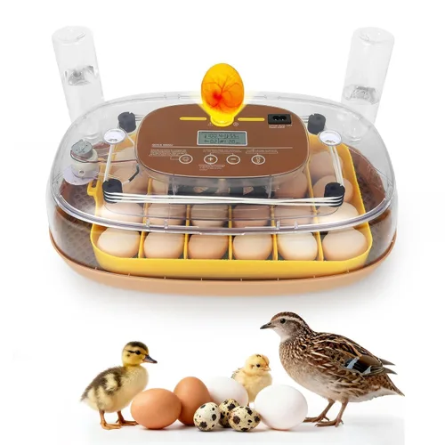 Miniatura 11 de Gen III - Incubadora automática de 24 huevos, humedad adaptativa basada en etapas con recarga automática, control de temperatura estable, espaciado