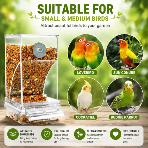 Miniatura 6 de Rypet Comedero Automático para Pájaros Sin Desorden Contenedor de Comida Transparente Jaula Comedero de Acrílico para Loros Accesorios para Pájaros