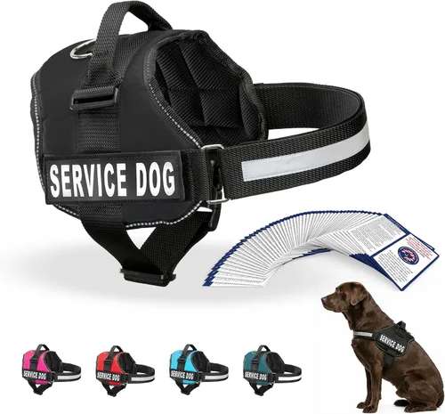 Miniatura 26 de Arnés Industrial Puppy para perros con correas y asa, y chaleco con parche reflectante, en un cómodo diseño de malla, Bright Red 2-Rojo Brillante