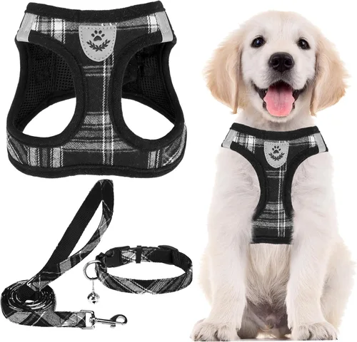 PUPTECK - Arnés, collar y correa ajustables, sin tirones, para perros pequeños y medianos, cachorros y gatos, pechera reflectante acolchada de malla