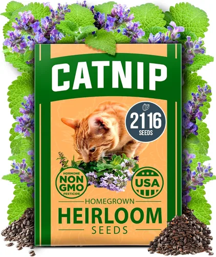 Miniatura 32 de HOME GROWN Mezcla de semillas germinantes de primera calidad, microgreens 118,200 semillas para cultivo en interiores, brócoli, alfalfa, rábano