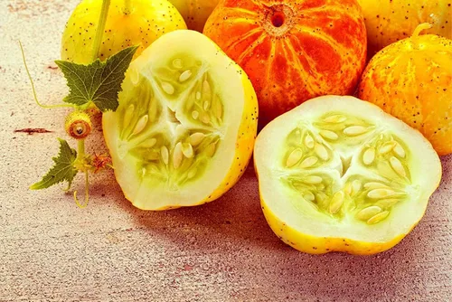 Miniatura 24 de Semillas de huerto para plantar - Cultivar verduras tradicionales (tomate bistec)