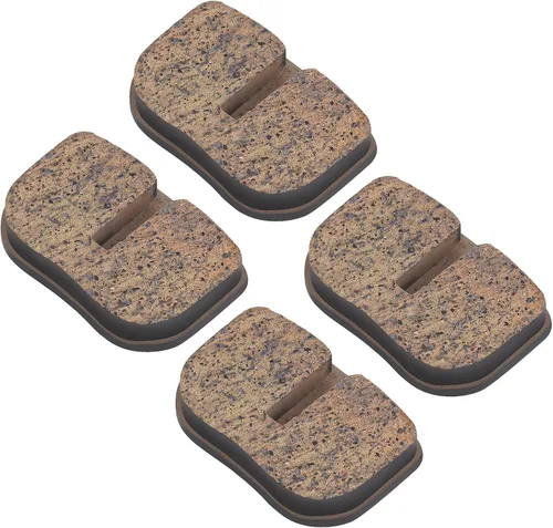 Road Passion Reemplazo de pastillas de freno de disco de bicicleta para Coleman CT100U Mini Bike/Coleman CC100X Trail Bike (2 piezas)