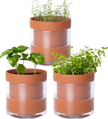 Miniatura 18 de Maceta Phoenix Vine de 6 Pulgadas con Riego Automático, Maceta de Arcilla Terracota con Reservario de Vidrio para Plantas de Interior, Hierbas