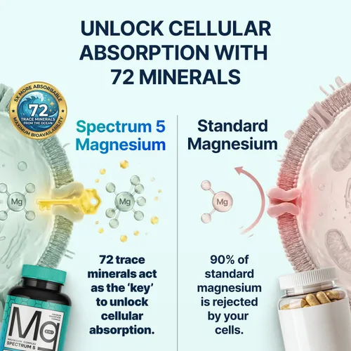 Miniatura 4 de Spectrum 5 Magnesio Complejo 5 en 1 + 72 minerales traza para una mayor absorción Procedente del mar irlandés 500 mg por porción Fabricado