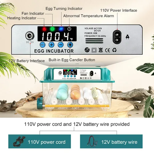 Miniatura 5 de Incubadoras para incubar 16 huevos, incubadora de huevos con giro automático de huevos y relleno de humedad, control de temperatura, incubadora