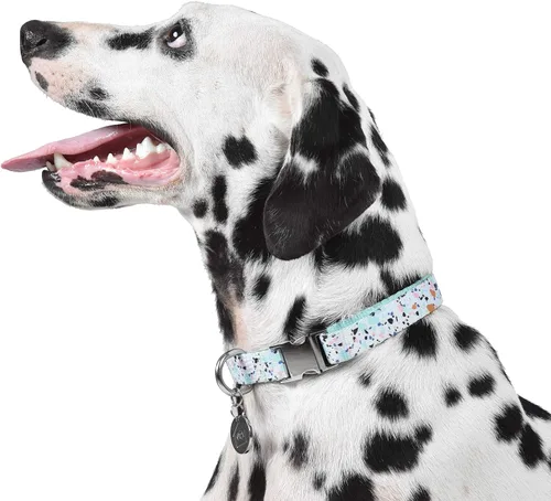 Miniatura 7 de Now House for Pets by Jonathan Adler Mint - Collar de terrazo, mediano, manera elegante y moderna de mantener a tu perro con un aspecto genial