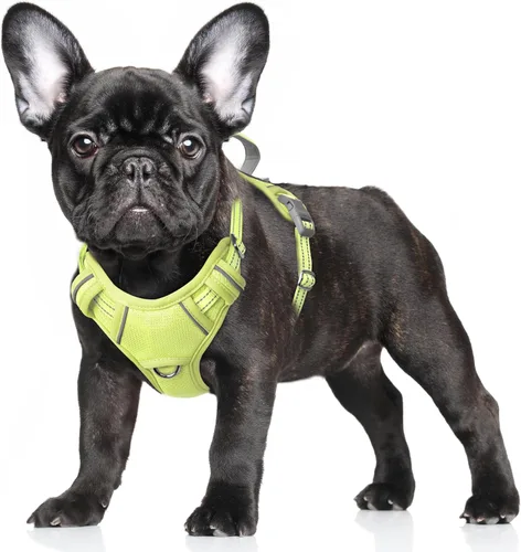 Miniatura 21 de BARKBAY Arnés para Perro Sin Tirones Talla Grande Arnés Reflectante para Perro con Clip Frontal y Asa de Control Fácil para Caminar Entrenar Correr